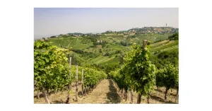 CLUB DEL BUTTAFUOCO STORICO - Immagine: 7