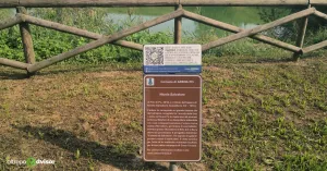 A Filo di Po - Nicola Salvatore - Immagine: 3