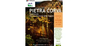 3 e 17 novembre 2019 Passeggiata a PIETRA CORVA: autunno in faggeta e biodiversità - Immagine: 1