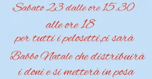 Mercatino di Artigianato - Torricella Verzate 2023 - Immagine: 3