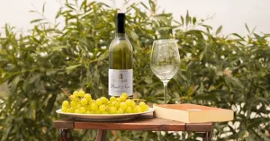 Vini La Torre di Maggi Giorgio E C. SRL - Immagine: 2