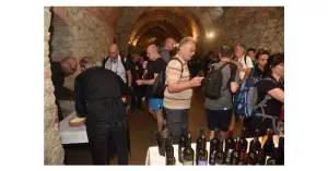 LE MAGIE DI MAGO MERLINO 2025 - Immagine: 3