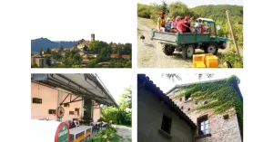 Domenica a Fortunago 9 giugno 2109 - Immagine: 2