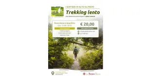 3 AGOSTO 2025 Trekking lento in Alto Oltrepò. Su sentieri poco battuti e chiusura con aperitivo a 1200 metri - Immagine: 1