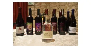 LE MAGIE DI MAGO MERLINO 2023 - Immagine: 6