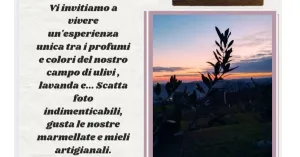 Giornata fotografica - Az. Agricola La Muntalena - Immagine: 2