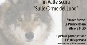 Alla Ricerca del Lupo  2022 - Immagine: 1