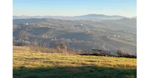 PICNIC AL MONTE CAMPONE 2022 - Immagine: 3