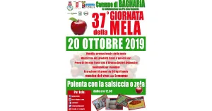 37° GIORNATA DELLA MELA - BAGNARIA 2019 - Immagine: 2