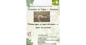 18 Aprile 2026: Escursione in Vigna e Apericena - Immagine: 1
