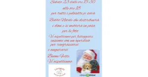 Mercatino di Artigianato - Torricella Verzate 2023 - Immagine: 6