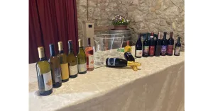 LE MAGIE DI MAGO MERLINO 2024 - Immagine: 3