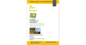 Tra Fossili e Calanchi, ESCURSIONE NATURALISTICA SUL GUARDAMONTE, 14 MAGGIO 2023 10:00-13:00 - Immagine: 1