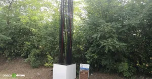 Ovunque, guardando - Renzogallo - Immagine: 1