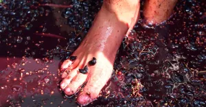 CANTINE APERTE IN VENDEMMIA  Pietra dè Giorgi 2021 - Immagine: 3