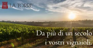 Vini La Torre di Maggi Giorgio E C. SRL - Immagine: 1