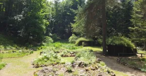 Giardino Alpino di Pietra Corva - Immagine: 3