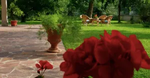 B&b Il Giardino della Quercia - Immagine: 1