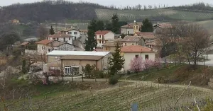 Festa di Gravanago 2019 Fortunago - Immagine: 2