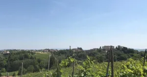 Castana, il borgo medioevale e la sua storia - Immagine: 2