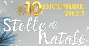 Stelle di Natale - Stradella 2023 - Immagine: 1