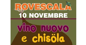 VINO NUOVO E CHISÖLA 2019 ROVESCALA - Immagine: 1
