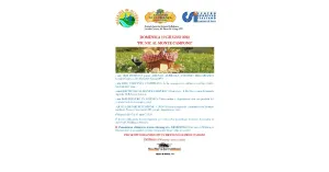 PICNIC AL MONTE CAMPONE 2022 - Immagine: 1