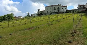 Az. Agricola La Muntalena - Immagine: 6