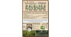 Passeggiata in Vigna e Merenda Tipica con Degustazione Vini, Oltrepò Pavese - luglio  2020 - Immagine: 1