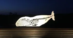 A Filo di Po - Nicola Salvatore - Immagine: 2