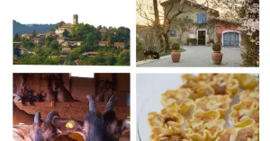 Domenica a Fortunago 10 novembre 2109 - Immagine: 1