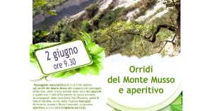 Passeggiata Orridi del Monte Musso e aperitivo - CODEVILLA - 2 giugno 2019 - Immagine: 1