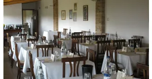 Azienda Vitivinicola Dellabianca Antonio - Immagine: 10