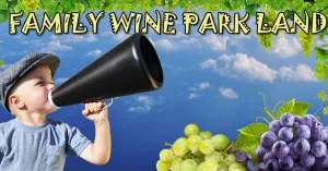 GIOCHI ANTICHI ABBINATI AD UNA DEGUSTAZIONE DI VINO 2020 - Immagine: 1