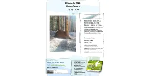 20 AGOSTO 2022 ESCURSIONE GUIDATA AI FORMICAI DEL MONTE PENICE E ARRIVO IN VETTA - Immagine: 1