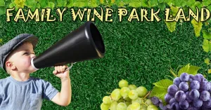 DIVERTIAMOCI CON I GIOCHI DA CORTILE 2021 - Immagine: 1