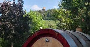 Cà Montebello di Luigi Scarani - Cigognola - Immagine: 5