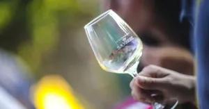 Saxbere Golferenzo 2019 - Immagine: 2