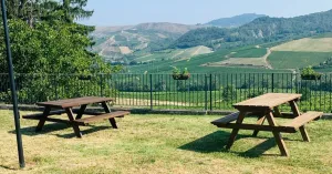 Borgoratto Mormorolo: percorsi, lavanda, natura e foto da cartolina - Immagine: 4