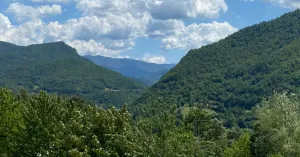 B&B SURUS - Sul sentiero di Annibale - Immagine: 4