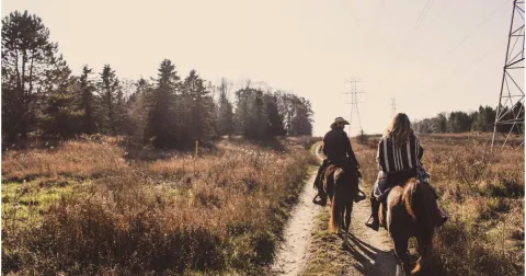 A cavallo