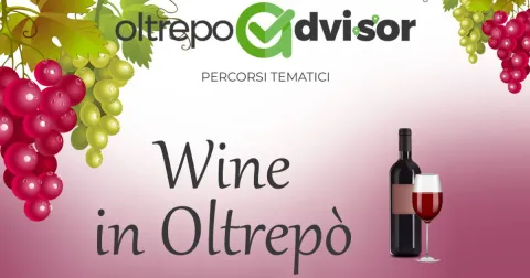 Wine in Oltrepò