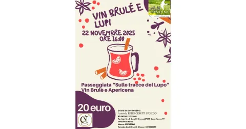 22 Novembre 2025 Vin Brulè in Vigna, Passeggiata e Apericena