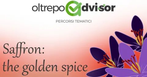 Saffron: the golden spice
