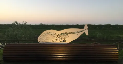 A Filo di Po - Nicola Salvatore