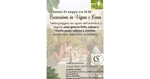 23 Maggio 2026, Trekking Leggero al tramonto e Cena in Vigna