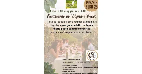 30 Maggio 2026, Trekking Leggero al tramonto e Cena in Vigna