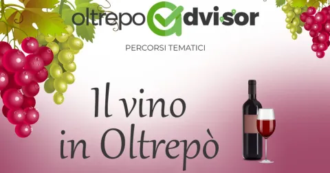 Il vino in Oltrepò
