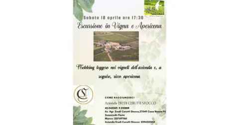 18 Aprile 2026: Escursione in Vigna e Apericena