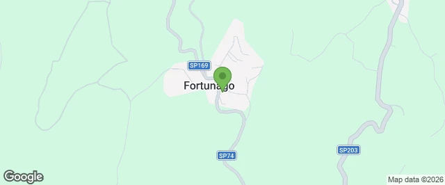 avvia il navigatore